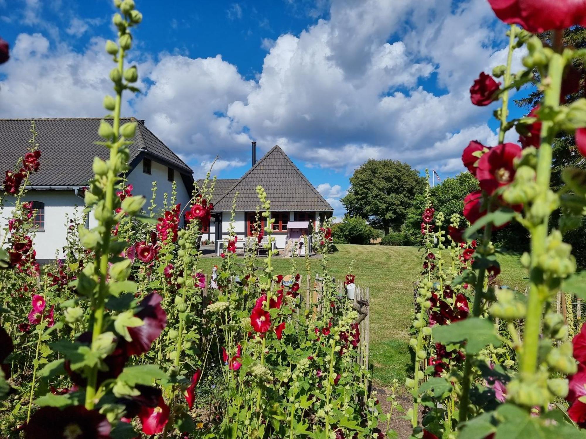 B&B Bauernhofferien Auf Mon Askeby Exterior foto