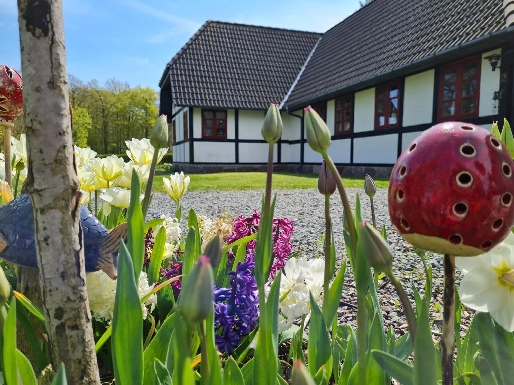 B&B Bauernhofferien Auf Mon Askeby Exterior foto